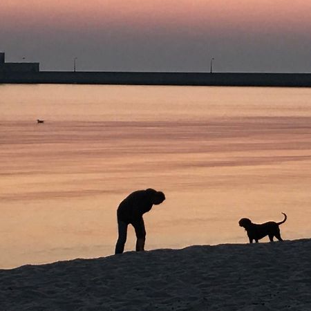 Fok Sztormowy Daire Hel Dış mekan fotoğraf